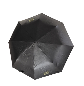 Regenschirm für die Taschen Klimt - Der Kuss (Motiv innen)