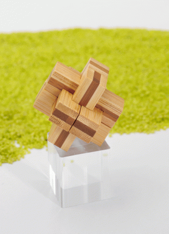 IQ Test Bambus Puzzle in der Dose Block