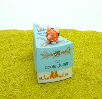 Geschenkschachtel Tortenstück Kinder mit Glücksschweinchen - Für coole Jungs