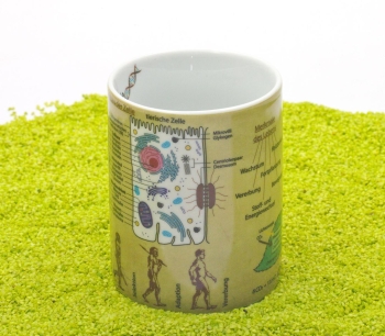 Wissensbecher Porzellan Biologie 490ml