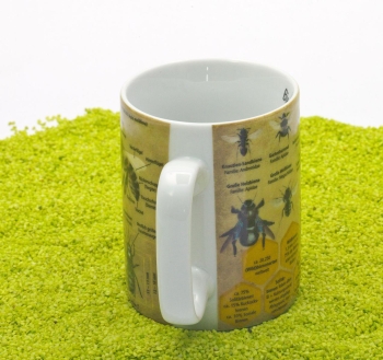 Wissensbecher Porzellan Bienen 490ml