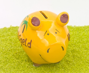 Sparschwein Urlaubsgeld 9 x 12,5 cm