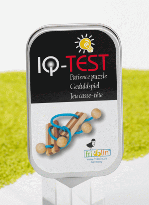 IQ Test Geduldspiel in der Dose Bambus Schnurpuzzle blau