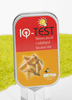 IQ Test Bambus Puzzle in der Dose Stern