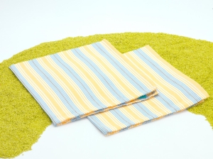 2er Set Stoffserviette Picknick gestreift in dotter-himmelblau 45x45cm