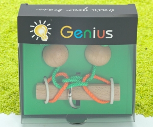 IQ Test Holz Puzzle Genius Befreie den Ring, Kugeln & Scheiben